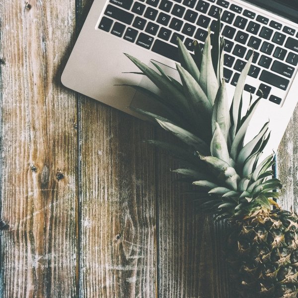 Shopify Support for small businesses  