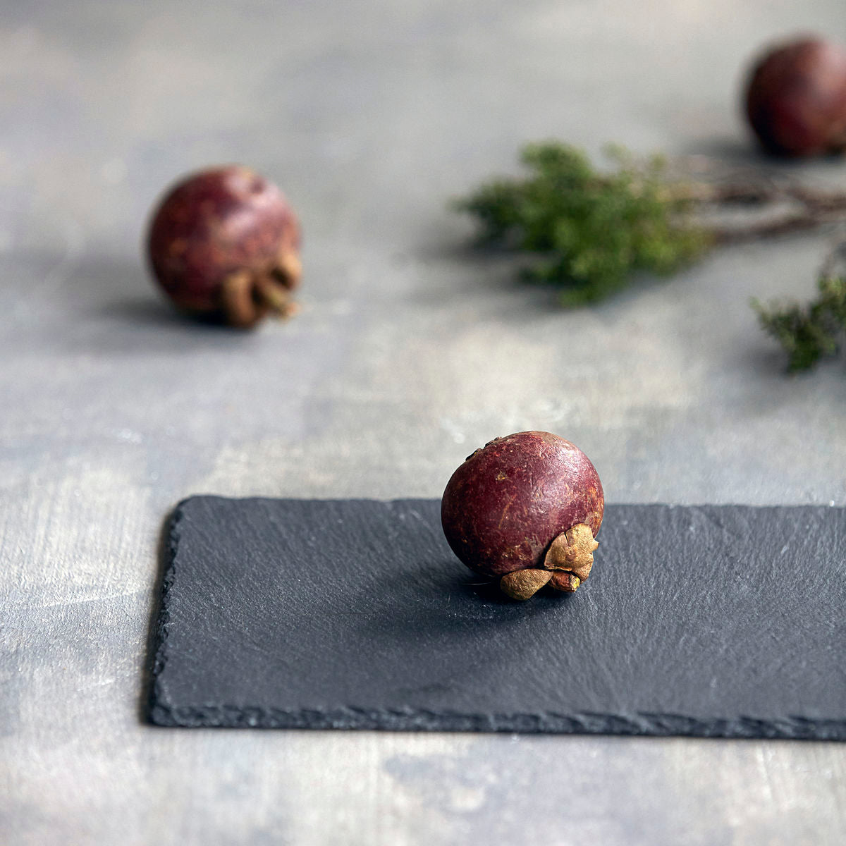 Nicolas Vahe Slate Plate - Scandi Minimal